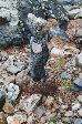 17_2008-0831-1421-55.jpg